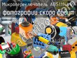 Микропереключатель ABS1114449