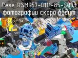 Реле RSM957-0111-85-S003 