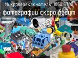 Микропереключатель 1050.5702