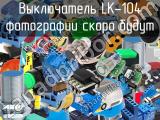 Выключатель LK-104 