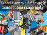 Переключатель UB25SKW035C 