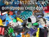 Реле 40.61.7.024.4000