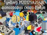 Тумблер M2012SA2G40 