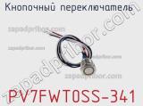 Кнопочный переключатель  PV7FWT0SS-341 
