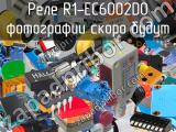 Реле R1-EC6002D0 