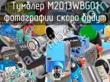 Тумблер M2013WBG01 