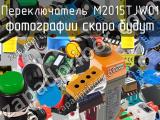 Переключатель M2015TJW01 