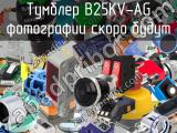 Тумблер B25KV-AG