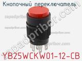 Кнопочный переключатель  YB25WCKW01-12-CB 