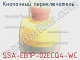 Кнопочный переключатель  SSA-EB1P-02ECQ4-WC