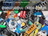 Кнопочный переключатель  320.04E11BLK 