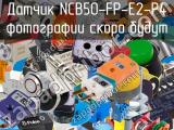 Датчик NCB50-FP-E2-P4 