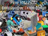 Реле RM225012