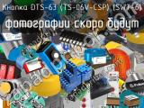 Кнопка DTS-63 (TS-06V-CSP) (SWT-6) 