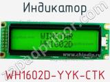 Индикатор WH1602D-YYK-CTK 
