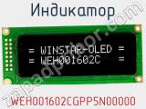 Индикатор WEH001602CGPP5N00000 