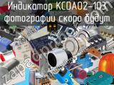 Индикатор KCDA02-103