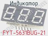 Индикатор FYT-5631BUG-21 