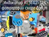 Индикатор KCSC02-123 
