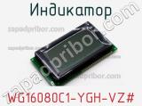 Индикатор WG16080C1-YGH-VZ# 