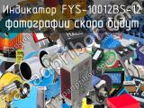 Индикатор FYS-10012BS-12 