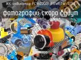 ЖК индикатор FC1602G01-FSWFTW-51SR