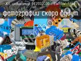 ЖК индикатор FC2002C00-FSWFBW-51SR 