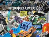 ЖК индикатор FC2402E01-NHWBTW-51SR