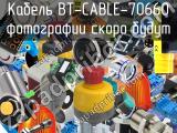 Кабель BT-CABLE-70660 