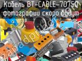 Кабель BT-CABLE-70750 