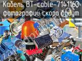 Кабель BT-cable-7141163 