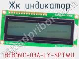 ЖК индикатор BCB1601-03A-LY-SPTWU 