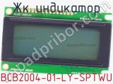 ЖК индикатор BCB2004-01-LY-SPTWU 