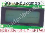 ЖК индикатор BCB2004-01-LY-SPTWU