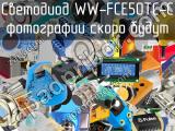 Светодиод WW-FCE50TC-C 
