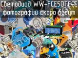 Светодиод WW-FCE50TC-C