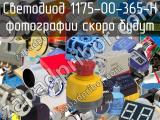 Светодиод 1175-00-365-H 