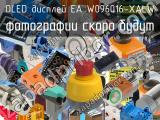 OLED дисплей EA W096016-XALW