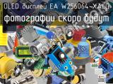 OLED дисплей EA W256064-XALG 