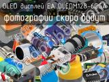 OLED дисплей EA OLEDM128-6GGA 