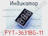 Индикатор FYT-3631BG-11