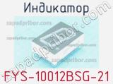Индикатор FYS-10012BSG-21 