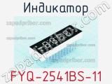 Индикатор FYQ-2541BS-11 