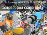 OLED дисплей WEH002002AGPP5N00100