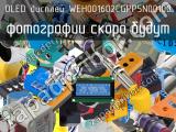 OLED дисплей WEH001602CGPP5N00100 