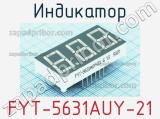 Индикатор FYT-5631AUY-21 