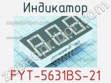 Индикатор FYT-5631BS-21