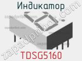 Индикатор TDSG5160 