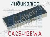 Индикатор CA25-12EWA