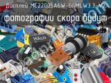 Дисплей MC22005A6W-BNMLW3.3-V2 